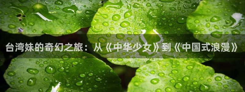 摩登7注册：台湾妹的奇幻之旅：从《中华少女》到《中国式浪漫》