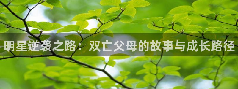 摩登7lite登录入口：明星逆袭之路：双亡父母的故事与成长路径